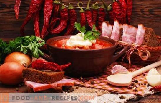 Ce condimente sunt necesare pentru borscht și care nu trebuie introduse în acesta