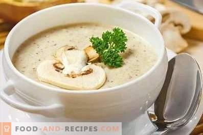 Champignon cream soup