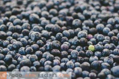 How to store blueberries