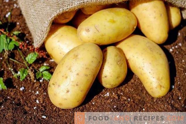 Revizuirea mijloacelor necostisitoare pentru pregătirea preparării cartofilor pentru boli și dăunători