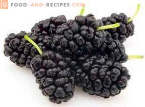 Mulberry: beneficii pentru sănătate și daune