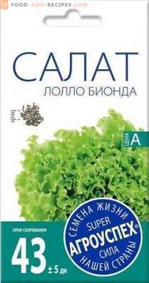 Salatsorten für den Anbau im Frühjahr, Sommer und Herbst